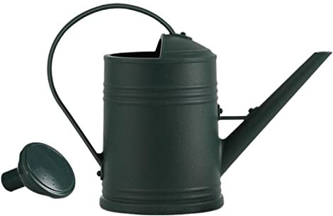 F Fityle Regadera de 2L con Cabezal rociador Desmontable, Herramientas de jardín portátiles de Gran Capacidad, Tarro Decorativo práctico Esmerilado para Patio, Verde Oscuro