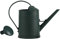 F Fityle Regadera de 2L con Cabezal rociador Desmontable, Herramientas de jardín portátiles de Gran Capacidad, Tarro Decorativo práctico Esmerilado para Patio, Verde Oscuro