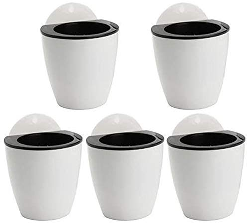 5pcs Sukkulente Pflanzen Topf Blume hängende Kunststoff selbstbewusste Faule Wand mit 5 Haken innen schwarzweiß.