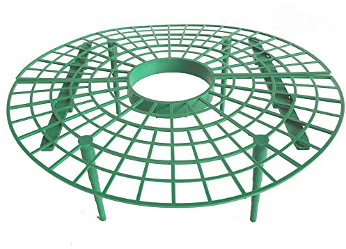 Dehner Frucht-Stütze für Obst, 5 Stück, Ø je 30 cm, Höhe 8.5 cm, grün