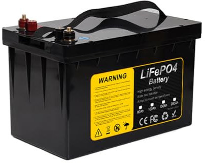 HJGHY 12V 80Ah 100Ah 150Ah 200Ah LiFePO4 Battery Rechargable Lithium Iron Phosphate Battery for Solar Boat RV Marine Camping Power Battery with BMS,12V,200Ah