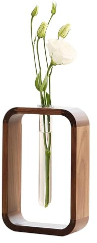 Gwezmxs Reagenzgläser mit Ständer, Kleine Blumenvasen mit Holz Halter, Reagenzglasständer für Blumen, Reagenzglas Vase für Hydrokultur Pflanzen