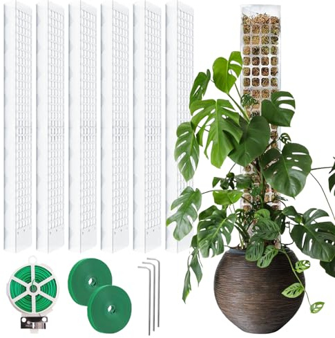 Monstera - Varillas para plantas (6 unidades, 61 cm, musgo Monstera, con cintas de 30 m y , musgo para Monstera, para jardín, plantas trepadoras, plantas de interior