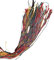 R&F srls Braccialetti Porta Fortuna BRASILIANI 1 blister da 100 Filini Multicolore Colore cartoncino casuale