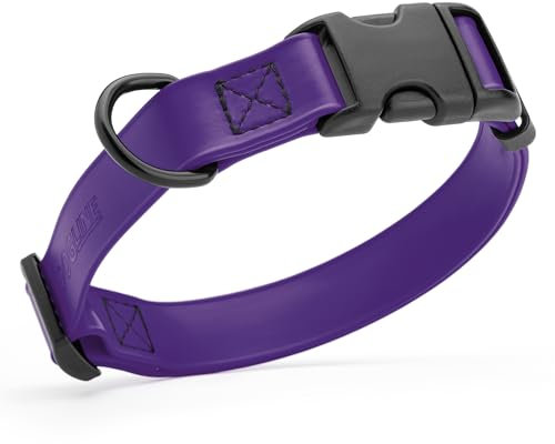 Dogline Biothane Wasserdichtes Hundehalsband mit Schnellverschluss-Schnalle, stark beschichtetes Nylon-Gurtband, geruchsdicht für einfache Pflege, leicht zu reinigen, passend für kleine, mittelgroße