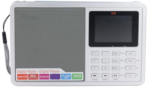 Digital Radio with 2.4 Inch Screen, DAB FM Clock Recorder, USB Micro Card, BT, AUX, for Home Office Outdoor