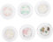 Healeved Ballet Shoes Nail Charms Set Colorful Rhinestones Nail Art Decorations 6 Boxes for Diy Manicure