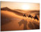 Munera Design - Bild 56x84 - Orient Karawane Wüste Kamele - Wand-Bilder Wohnzimmer