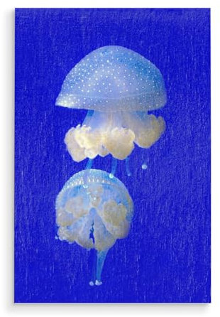 artboxONE Holzbild 30x20 cm Tiere Medusen von Künstler sommersbilder