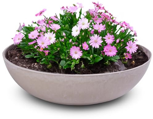 matches21 HOME & HOBBY Vaso per piante da esterno in colori sabbia marmorizzato 30 x 9 cm come fioriera resistente alle intemperie