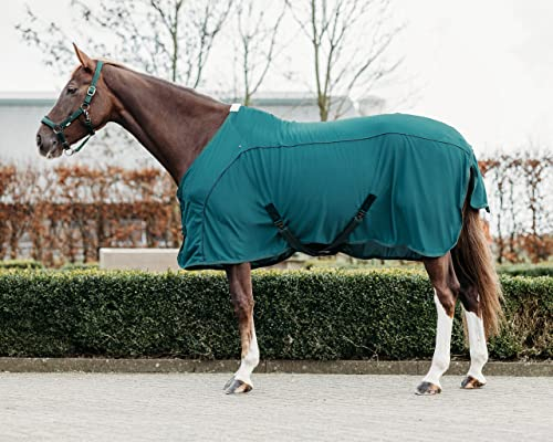 QHP Pferde-Decke Transportdecke Coolmesh Astana Widerristpolster (145 cm, dunkelgrün)