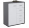 IDIMEX Buffet Salle à Manger Oscar L 60 cm en Bois Coloris Gris et chêne Sonoma avec 4 tiroirs et 1 Porte, Meuble de Rangement Surface résistante aux éraflures