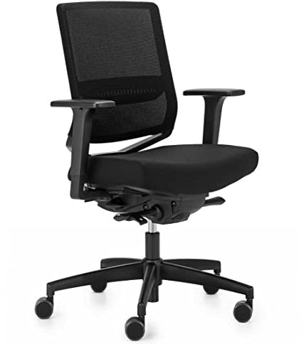 Dauphin, Bürostuhl, für Büro oder Home-Office, Schnelllieferprogramm, lieferbar in 3 Werktagen (Variante 1)