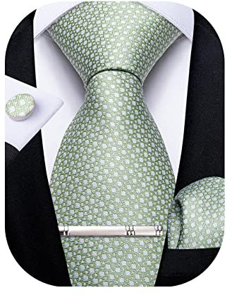 DiBanGu Karierte Krawatten für Herren, Seide, kariert, Krawatte und Einstecktuch, Manschettenknöpfe, Krawattenklammer-Set mit Geschenkbox für Hochzeit, Business, Ein Salbeigrün, Einheitsgröße