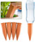 Innaffiare Piante in Vacanza, Annaffiare Piante in Vacanza, Set 4 Coni Irrigatori per Piante, Set Irrigazione a Goccia, Irrigazione Automatica per Piante da Interno, per Interni Esterni Giardino