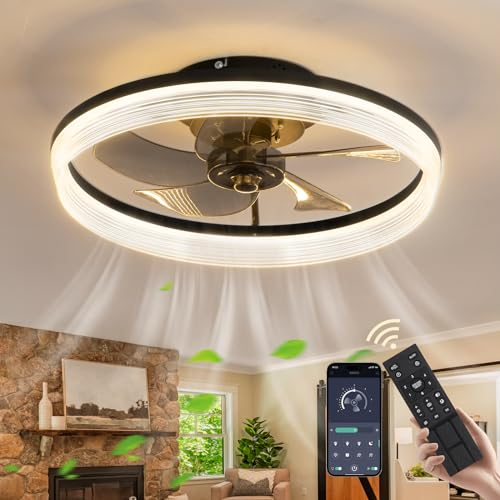 CANEOE Deckenventilator mit Beleuchtung, Dimmbare LED Deckenleuchte mit Ventilator, 30W Moderner Deckenventilator mit Beleuchtung und Fernbedienung Leise für Schlafzimmer Küche Esszimmer-Schwarz