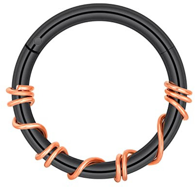 Longbeauty 16G 1.2mm Edelstahl Piercing Ringe Segmentring Clicker Nasenringe Ohrringe Nahtlose Hoops für Tragus Knorpel Septum Helix, 10mm, Schwarz/Rosegold
