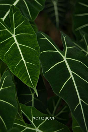 Pflanzen Notizbuch: Notizbuch Pflanzen / Pflanzenoptik für Pflanzenliebhaber oder Pflanzenliebhaberinnen | Eintragen von Notizen, Terminen, Ideen, ... | gepunktet | matt | Geschenk für Plant Lover
