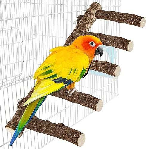 LZMDISU Papageien-Holzständer, 31,8 cm Länge, natürliche Vogelleiter für kleine, mittelgroße Papageien, Sittiche, Nymphensittiche, Eschenholz, Braun Grau