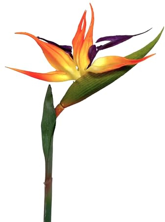 Floratexx Künstliche Strelitzie 60cm Kunstblume Paradiesvogelblume Papageienblume Tropische Pflanzen