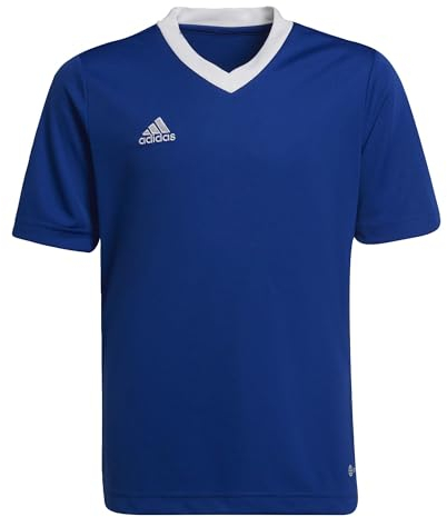 adidas Unisex Kinder Entrada 22 Jersey, Royal Blue, 15-16 Years
