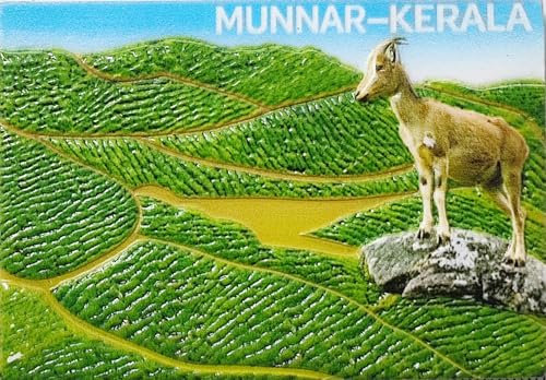 Munnar Kerala India Refrigerator Magnet Tourism Souvenir 3D Fridge Decoration Craft