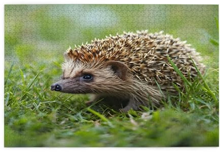Hedgehog In The Grass Jigsaw Puzzles1000 Piece Educational Intellectual Wooden Puzzles, Fun Puzzles, Stress Relieving Puzzles 75 L*50 W Cm