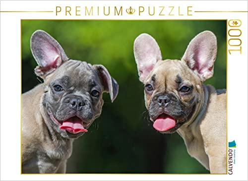 CALVENDO Puzzle Zwei Welpen | 1000 Teile Lege-Größe 64 x 48 cm Foto-Puzzle für glückliche Stunden