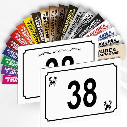 Hausnummernschild mit Motiv - Nummernschild aus PVC - Gravierte, personalisierbare Tafel 15 x 10 cm (Weiß mit schwarzer Schrift + Motiv)