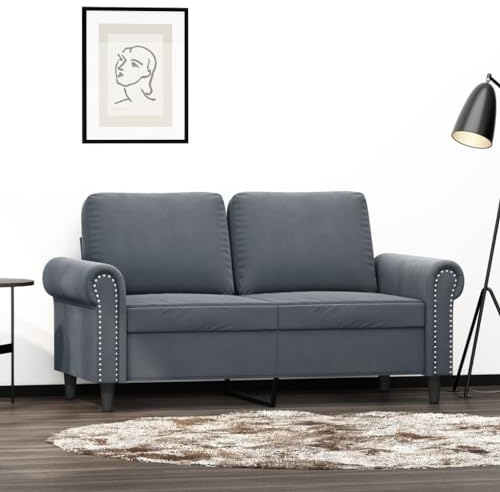 Willood 2-Sitzer-Sofa Loungesofa Couch mit Armlehnen Rückenkissen, Wohnzimmersofa Designsofa Metallgestell, Sitzmöbel Zweisitze,Multi-Sofa, Dunkelgrau 120 cm Samt