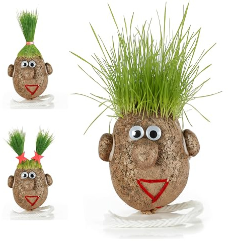 Tête d’herbe - Monsieur gazon, plante insolite à faire pousser | Grasshead cheveux naturel - Décoration amusante et ludique, expérience jardinage - Petit modèle 5 cm sans support