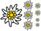 Premium Aufkleber Set Alpen 8X Edelweiss Autoaufkleber Sticker Waschanlagenfest Witterungs- und UV-beständig