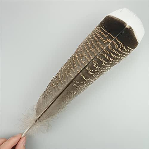 RAEF 10 Teile/los Natürliche Adler Federn für Handwerk Plume Kopfschmuck Zubehör Urlaub Dekoration Karneval Feder DIY Handwerk Dekor