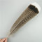 RAEF 10 Teile/los Natürliche Adler Federn für Handwerk Plume Kopfschmuck Zubehör Urlaub Dekoration Karneval Feder DIY Handwerk Dekor