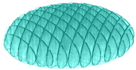 Fidget Wurm Spielzeug,Magic Worm Spielzeug, Fidgets Slug Spielzeug Formwandelnder Wurm Spielzeug Für Kinder, Magische Wurm Spielzeug Sensorisches Stressabbau Handspielzeug Wurm