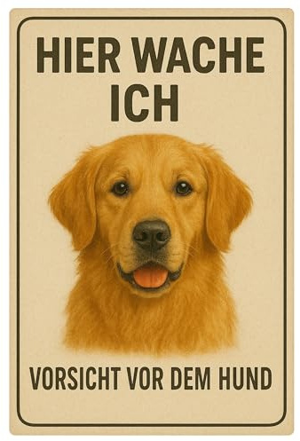 AstraDesign Blechschild „Hier wache ich – Golden Retriever“ 20x30cm, Beige/Braun – mit vorgebohrten Löchern – Warnschild für Haus, Hof oder Garten – Sicherheitsschild