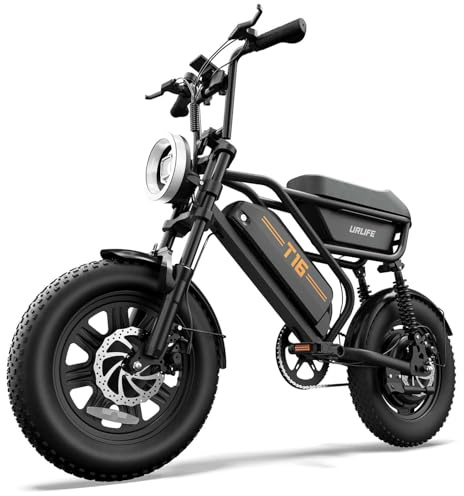 URLIFE Electric Bike for Adults, 16 x 3.0 Fat Tires Ebike, Range 100KM, 48V 13Ah Removable Battery and 250W Brushless Motor Electric Bicycle, Dual Suspension, Color LCD Display E Bike for Teens