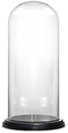 CYS Excel, confezione da 1 cupola in vetro, per gioielli, con custodia per esposizione a rose, campana di campana, terrario (35,6 cm di altezza x 15,2 cm di larghezza, con base in legno)