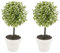 URBNLIVING 2Pc Decorative Artificial Topiary Box Tree Plant Indoor Outdoor Set (Medium 27CM, Green)