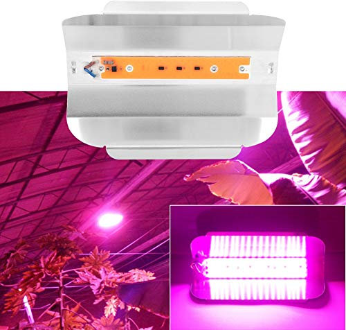 80 W Vollspektrum-Pflanzen-Wachstumslicht, COB-LED-Pflanzenwachstumslampe für Innengärten, Gewächshäuser, Blumen, Topfpflanzenwachstum, mit IP65 Wasserdicht (220V30W)