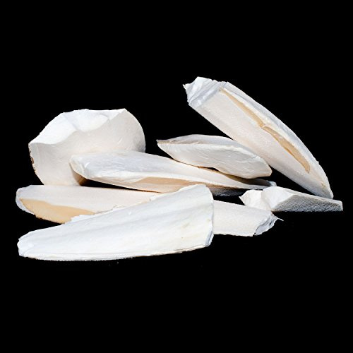 Pet Ting Broken Cuttlefish Pieces, 100g | For Reptiles, For Tortoises, For Terrapins, For Snails, For Birds and Small Animals