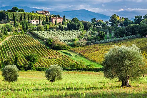 Papier Peint Photo INTISSÉ-TOSCANE-350x260 cm-(3367AE)-Nature Arbres Animaux Paysage Arbre Montagnes Forêt Colle Inclus Mural Décor Motif Poster Géant Stickers Muraux Optique Moderne Fond Effet XXL