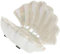OATIPHO Organisateur De Bijoux En Résine Polyvalent Boîte Décorative Boîte De Rangement En Coquillages Plat Pour Boucles Doreilles Organisateur De Tiroir De Vanité