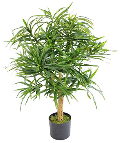 Leaf Artificial Ficus Tree/Plant, Wood, Green Dracaena, 100cm