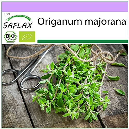 SAFLAX - BIO - Maggiorana - 700 semi - Origanum majorana