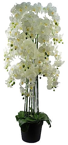 Leaf Design UK Realistic Artificial Orchid Flower Display in Pot, 150cm Real Touch White