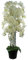 Leaf Design UK Realistic Artificial Orchid Flower Display in Pot, 150cm Real Touch White