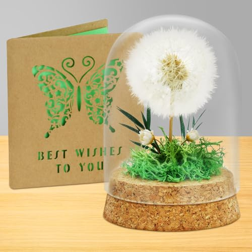 AOOTE Pusteblume im Glas,Echte Pusteblume im Glass mit Grußkarten,Deko Geschenke im Glas für Frauen, Glücksbringer Geburtstag Hochzeit Jugendweihe Weihnachten