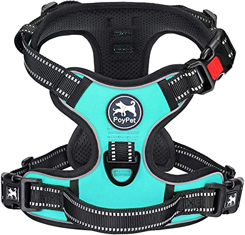 PoyPet Keine Pull Hundegeschirr Front Reflektierende Pet Weste für Hunde mit Einfache Kontrolle Griff und Rückseite perfekt für den täglichen Training, Walken, Running(Mint Blau,XS)