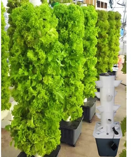 RRrawgff Système de Culture hydroponique de Jardin à Tour hydroponique, kit de Culture aéroponique avec Pompe hydratante, Adaptateur, minuterie. 12/09/15/18 (Trou)